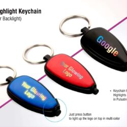 Logo Highlight Keychain (Multicolor Backlight)